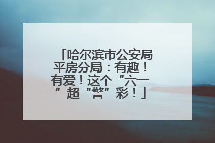 哈尔滨市公安局平房分局：有趣！有爱！这个“六一”超“警”彩！
