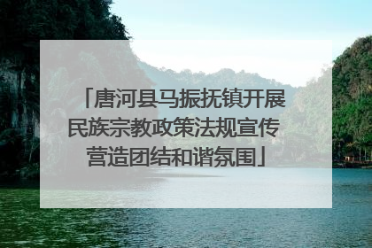 唐河县马振抚镇开展民族宗教政策法规宣传 营造团结和谐氛围