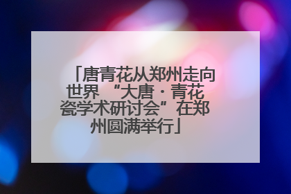 唐青花从郑州走向世界 “大唐・青花瓷学术研讨会”在郑州圆满举行