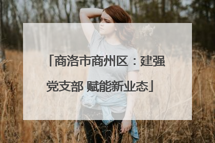 商洛市商州区：建强党支部 赋能新业态