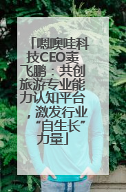 嗯噢哇科技CEO窦飞鹏：共创旅游专业能力认知平台，激发行业“自生长”力量