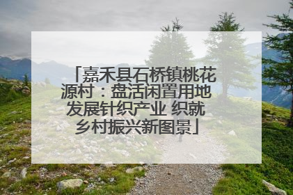 嘉禾县石桥镇桃花源村：盘活闲置用地发展针织产业 织就乡村振兴新图景