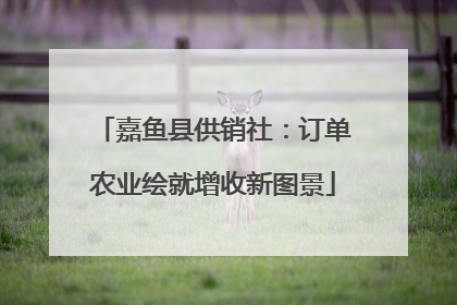 嘉鱼县供销社：订单农业绘就增收新图景
