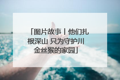 图片故事丨他们扎根深山 只为守护川金丝猴的家园