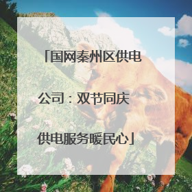 国网秦州区供电公司：双节同庆 供电服务暖民心