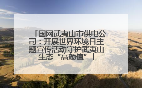 国网武夷山市供电公司：开展世界环境日主题宣传活动守护武夷山生态“高颜值”