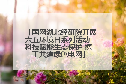 国网湖北经研院开展六五环境日系列活动 科技赋能生态保护 携手共建绿色电网