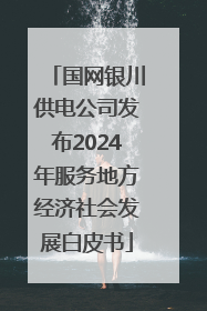 国网银川供电公司发布2024年服务地方经济社会发展白皮书