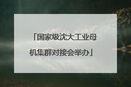 国家级沈大工业母机集群对接会举办