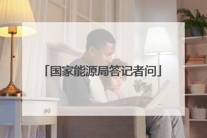 国家能源局答记者问