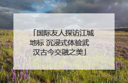 国际友人探访江城地标 沉浸式体验武汉古今交融之美