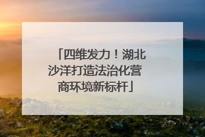 四维发力！湖北沙洋打造法治化营商环境新标杆
