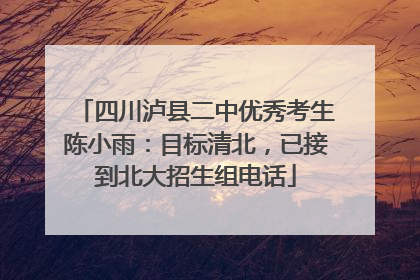四川泸县二中优秀考生陈小雨：目标清北，已接到北大招生组电话