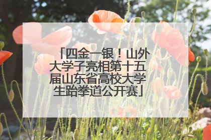 四金一银！山外大学子亮相第十五届山东省高校大学生跆拳道公开赛