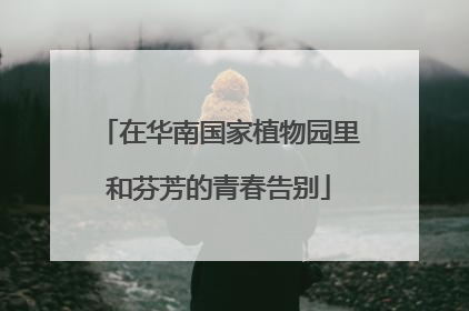 在华南国家植物园里和芬芳的青春告别