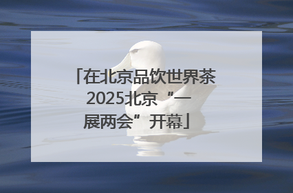 在北京品饮世界茶 2025北京“一展两会”开幕