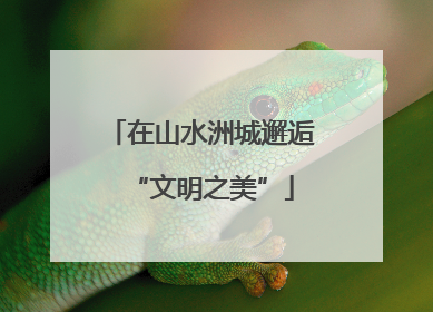 在山水洲城邂逅“文明之美”