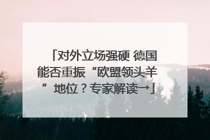 对外立场强硬 德国能否重振“欧盟领头羊”地位？专家解读→