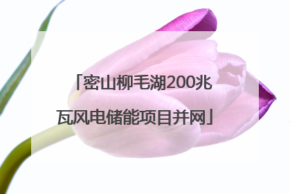 密山柳毛湖200兆瓦风电储能项目并网