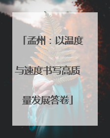 孟州：以温度与速度书写高质量发展答卷