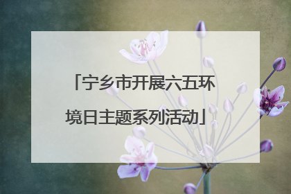宁乡市开展六五环境日主题系列活动