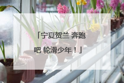 宁夏贺兰 奔跑吧 轮滑少年！