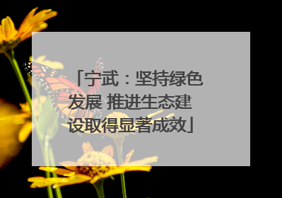 宁武：坚持绿色发展 推进生态建设取得显著成效
