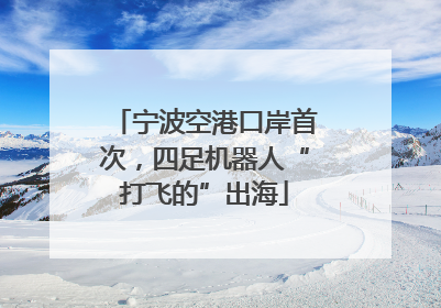 宁波空港口岸首次，四足机器人“打飞的”出海