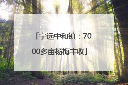 宁远中和镇：7000多亩杨梅丰收