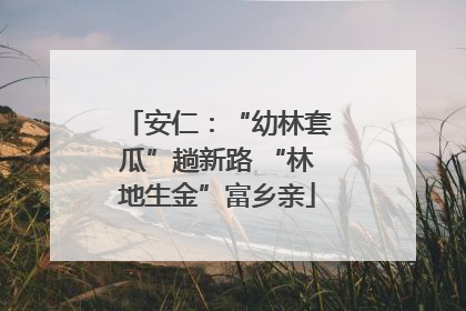 安仁：“幼林套瓜”趟新路 “林地生金”富乡亲