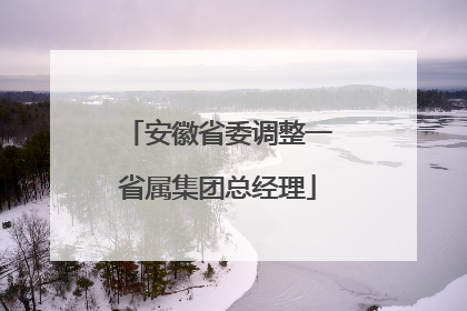 安徽省委调整一省属集团总经理