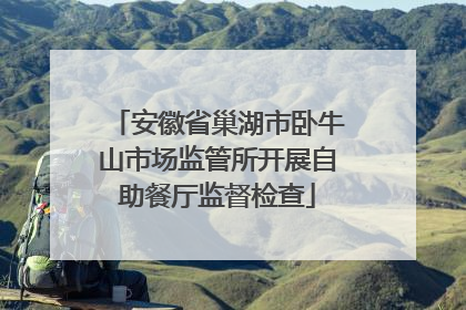 安徽省巢湖市卧牛山市场监管所开展自助餐厅监督检查