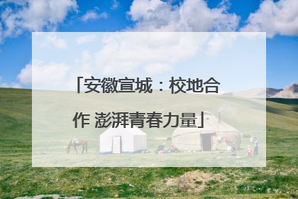 安徽宣城：校地合作 澎湃青春力量