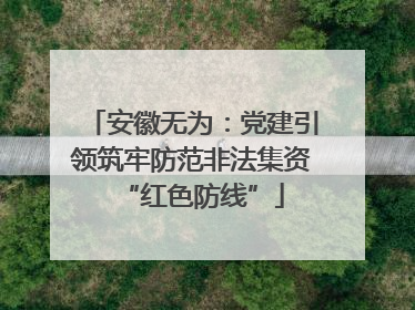 安徽无为：党建引领筑牢防范非法集资“红色防线”