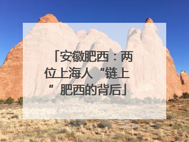 安徽肥西：两位上海人“链上”肥西的背后