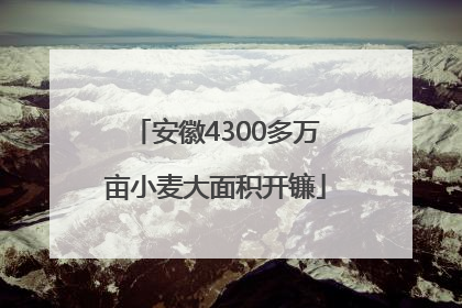 安徽4300多万亩小麦大面积开镰