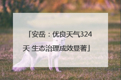 安岳：优良天气324天 生态治理成效显著