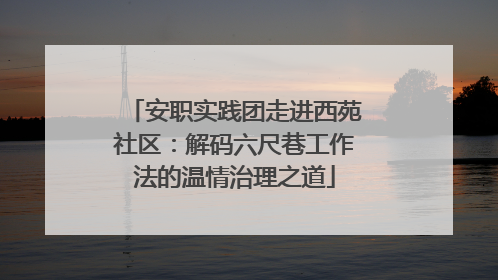 安职实践团走进西苑社区：解码六尺巷工作法的温情治理之道