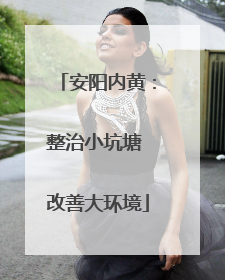 安阳内黄：整治小坑塘 改善大环境