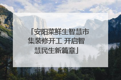 安阳菜鲜生智慧市集装修开工 开启智慧民生新篇章