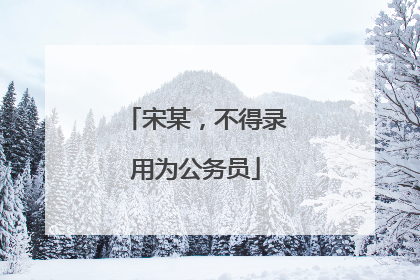 宋某，不得录用为公务员