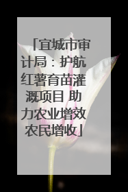 宜城市审计局：护航红薯育苗灌溉项目 助力农业增效农民增收