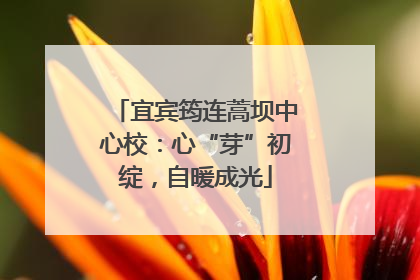 宜宾筠连蒿坝中心校：心“芽”初绽，自暖成光