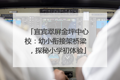 宜宾翠屏金坪中心校：幼小衔接架桥梁，探秘小学初体验