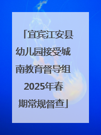 宜宾江安县幼儿园接受城南教育督导组2025年春期常规督查