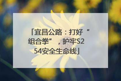 宜昌公路：打好“组合拳”，护牢S254安全生命线