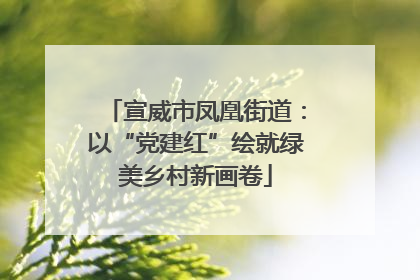 宣威市凤凰街道：以“党建红”绘就绿美乡村新画卷