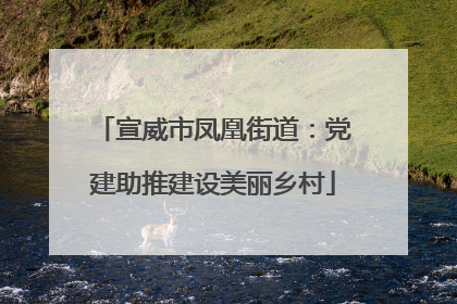 宣威市凤凰街道：党建助推建设美丽乡村