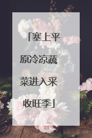 塞上平原冷凉蔬菜进入采收旺季
