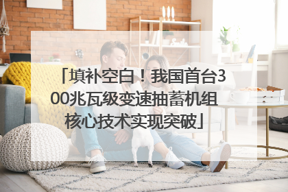填补空白！我国首台300兆瓦级变速抽蓄机组核心技术实现突破